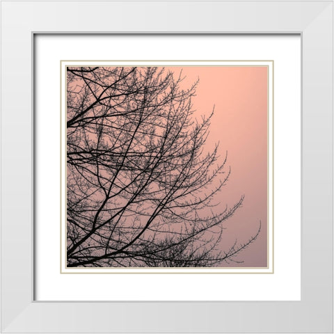 Tree Silhouette II Black on Pink White Modern Wood Framed Art Print with Double Matting by Pollard, David