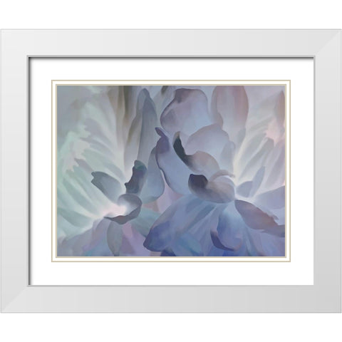 Chrysanthemum VI White Modern Wood Framed Art Print with Double Matting by Pollard, David