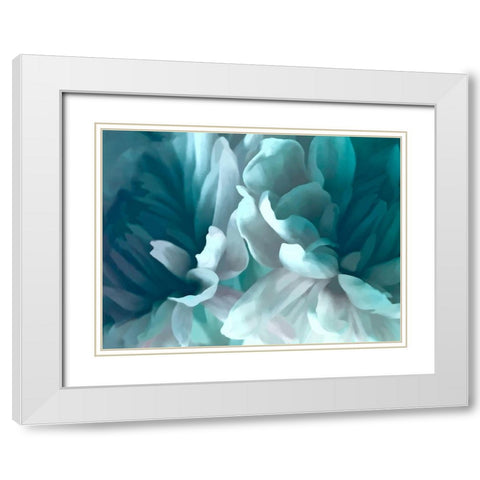 Chrysanthemum XVI White Modern Wood Framed Art Print with Double Matting by Pollard, David