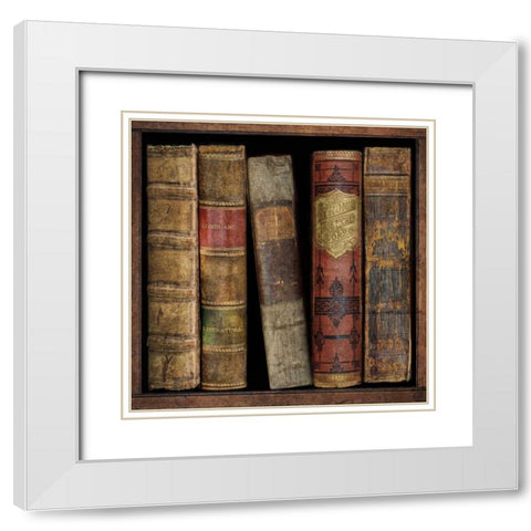 In The Library I White Modern Wood Framed Art Print with Double Matting by Brennan, Russell