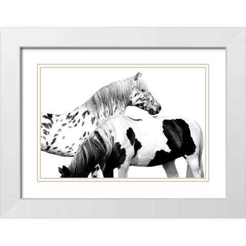Spotted and Pinto White Modern Wood Framed Art Print with Double Matting by Carter, Samantha
