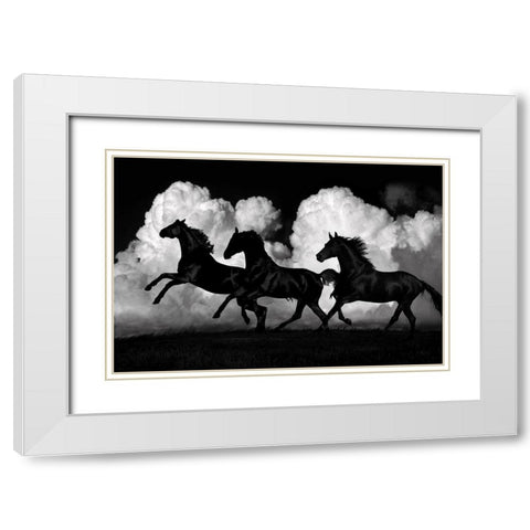 Wild Horses White Modern Wood Framed Art Print with Double Matting by Carter, Samantha