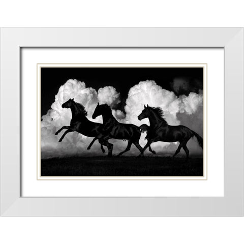 Wild Horses White Modern Wood Framed Art Print with Double Matting by Carter, Samantha