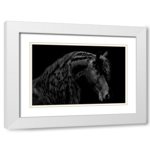 Classic Black II White Modern Wood Framed Art Print with Double Matting by Carter, Samantha