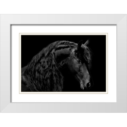 Classic Black II White Modern Wood Framed Art Print with Double Matting by Carter, Samantha