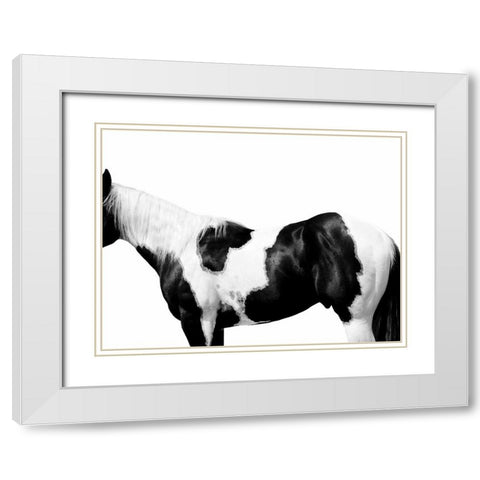 Pinto White Modern Wood Framed Art Print with Double Matting by Carter, Samantha