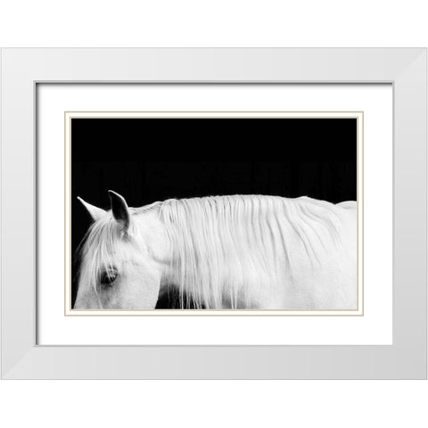 White on Black I White Modern Wood Framed Art Print with Double Matting by Carter, Samantha