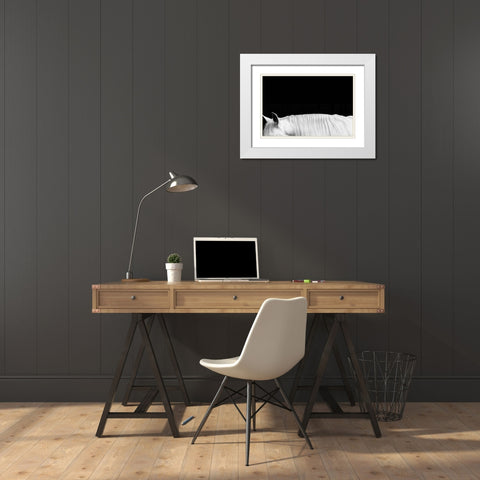 White on Black II White Modern Wood Framed Art Print with Double Matting by Carter, Samantha