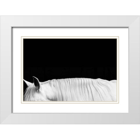 White on Black II White Modern Wood Framed Art Print with Double Matting by Carter, Samantha