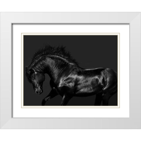 Black on Black White Modern Wood Framed Art Print with Double Matting by Carter, Samantha