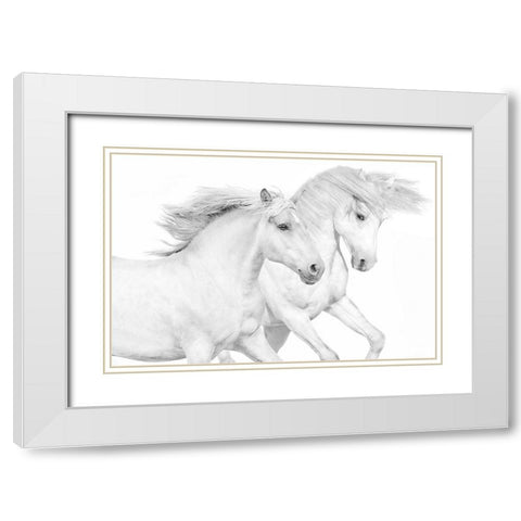 Duo II White Modern Wood Framed Art Print with Double Matting by Carter, Samantha