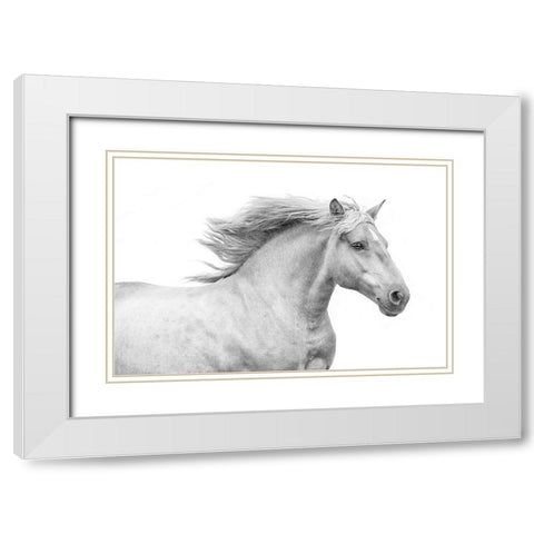 Solo I White Modern Wood Framed Art Print with Double Matting by Carter, Samantha