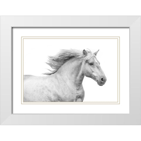 Solo I White Modern Wood Framed Art Print with Double Matting by Carter, Samantha