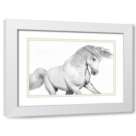 Solo II White Modern Wood Framed Art Print with Double Matting by Carter, Samantha