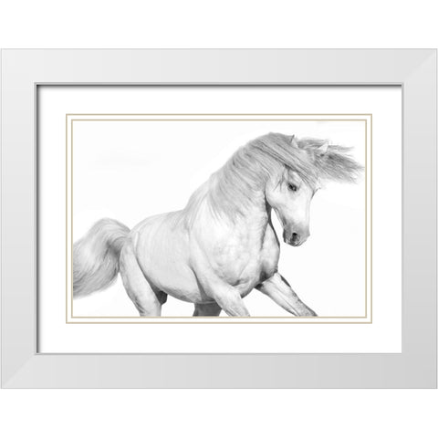 Solo II White Modern Wood Framed Art Print with Double Matting by Carter, Samantha