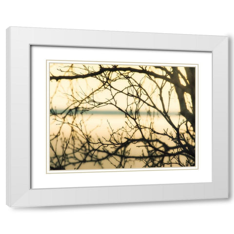 Aspen Sunset White Modern Wood Framed Art Print with Double Matting by Plank, Savanah