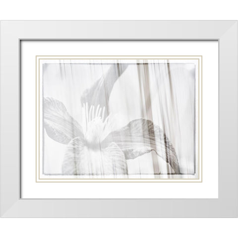 Black and white clematis White Modern Wood Framed Art Print with Double Matting by Plank, Savanah