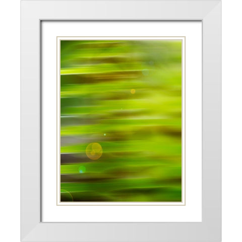 Abstract green flora White Modern Wood Framed Art Print with Double Matting by Plank, Savanah