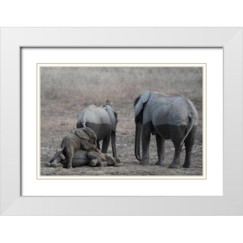 Brothers at Play White Modern Wood Framed Art Print with Double Matting by Bennion, Scott