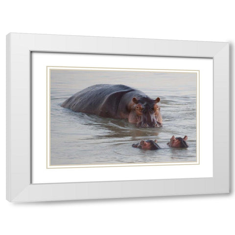 Class is in Session White Modern Wood Framed Art Print with Double Matting by Bennion, Scott