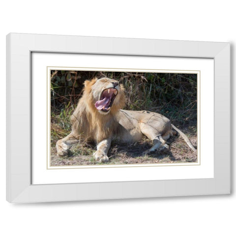 Speechless White Modern Wood Framed Art Print with Double Matting by Bennion, Scott