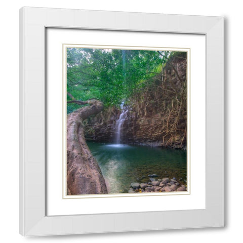 Sun Beam White Modern Wood Framed Art Print with Double Matting by Bennion, Scott