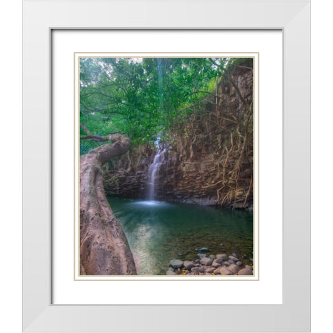 Sun Beam White Modern Wood Framed Art Print with Double Matting by Bennion, Scott