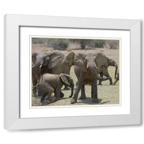 Too Close White Modern Wood Framed Art Print with Double Matting by Bennion, Scott