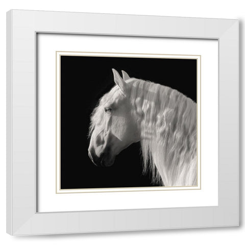 Contemplation White Modern Wood Framed Art Print with Double Matting by Dawson, Robert