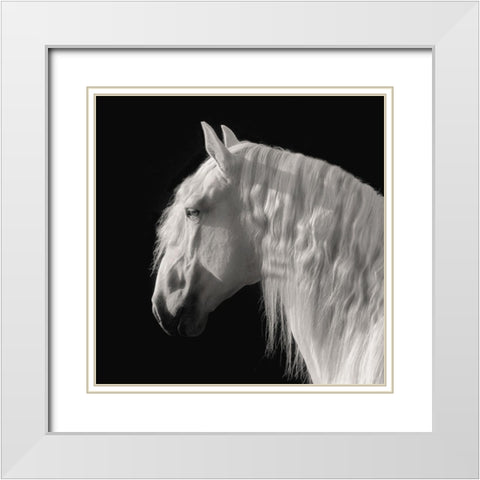 Contemplation White Modern Wood Framed Art Print with Double Matting by Dawson, Robert