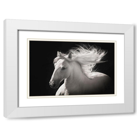 Grey Ghost White Modern Wood Framed Art Print with Double Matting by Dawson, Robert