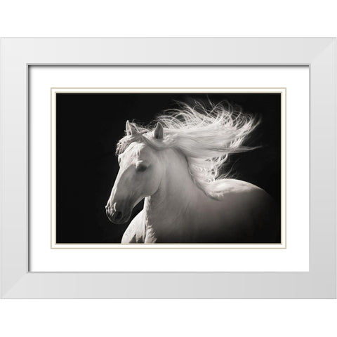 Grey Ghost White Modern Wood Framed Art Print with Double Matting by Dawson, Robert