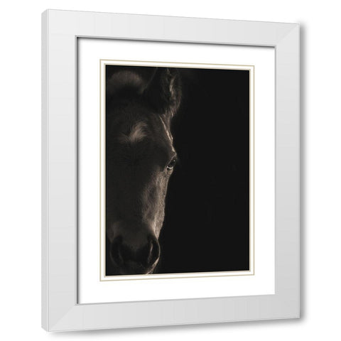 Look At Me White Modern Wood Framed Art Print with Double Matting by Dawson, Robert