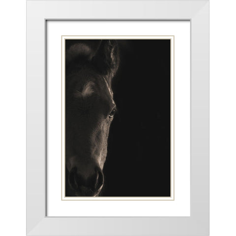 Look At Me White Modern Wood Framed Art Print with Double Matting by Dawson, Robert