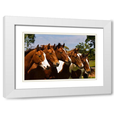 Best Friends White Modern Wood Framed Art Print with Double Matting by Dawson, Robert