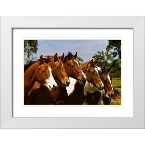Best Friends White Modern Wood Framed Art Print with Double Matting by Dawson, Robert