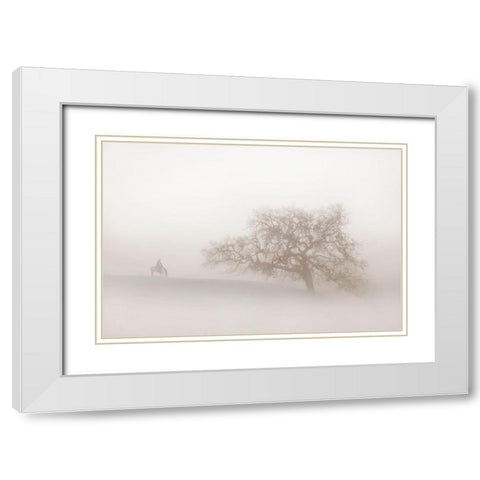 Lonely Days White Modern Wood Framed Art Print with Double Matting by Dawson, Robert