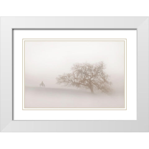Lonely Days White Modern Wood Framed Art Print with Double Matting by Dawson, Robert
