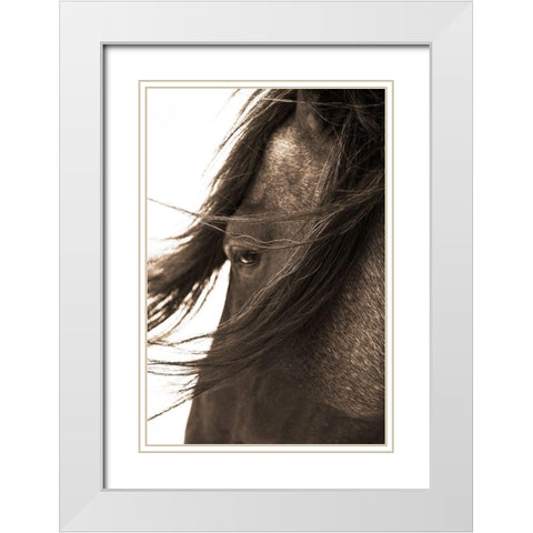 Dont Bother Me White Modern Wood Framed Art Print with Double Matting by Dawson, Robert