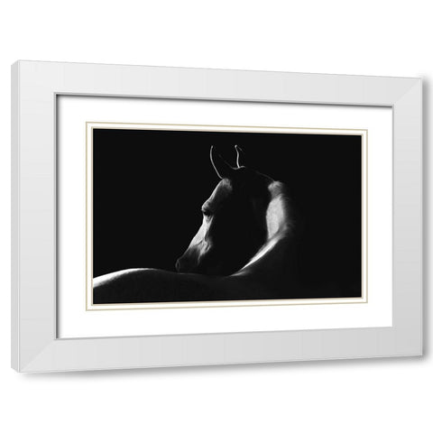 Moonlight Dreamer White Modern Wood Framed Art Print with Double Matting by Dawson, Robert