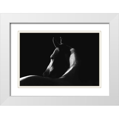 Moonlight Dreamer White Modern Wood Framed Art Print with Double Matting by Dawson, Robert
