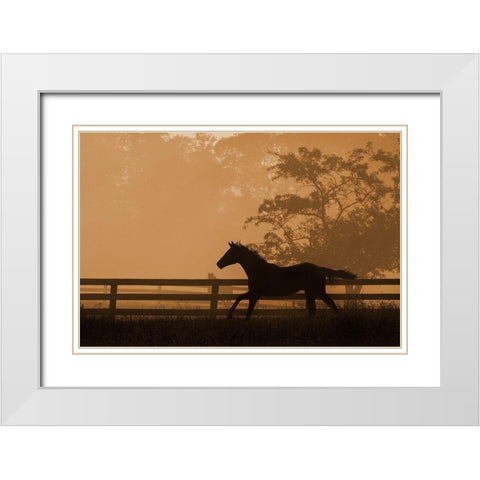 Headin For the Sun White Modern Wood Framed Art Print with Double Matting by Dawson, Robert