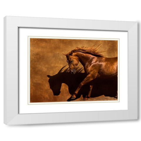 Adobe Dancer White Modern Wood Framed Art Print with Double Matting by Dawson, Robert