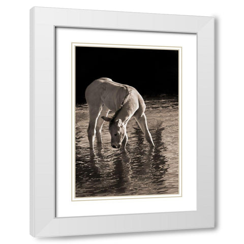 Cool Water White Modern Wood Framed Art Print with Double Matting by Dawson, Robert