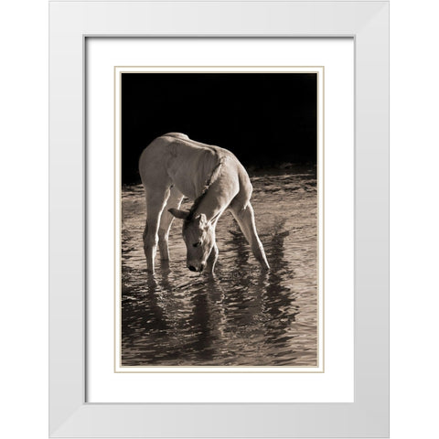Cool Water White Modern Wood Framed Art Print with Double Matting by Dawson, Robert