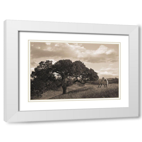 California Evening White Modern Wood Framed Art Print with Double Matting by Dawson, Robert