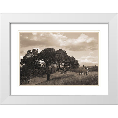 California Evening White Modern Wood Framed Art Print with Double Matting by Dawson, Robert