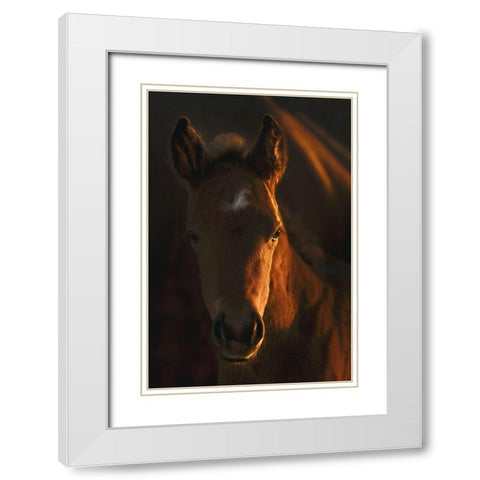 Little Miss White Modern Wood Framed Art Print with Double Matting by Dawson, Robert