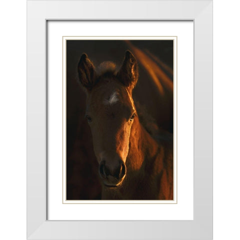 Little Miss White Modern Wood Framed Art Print with Double Matting by Dawson, Robert