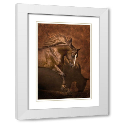 Horse Dancer White Modern Wood Framed Art Print with Double Matting by Dawson, Robert